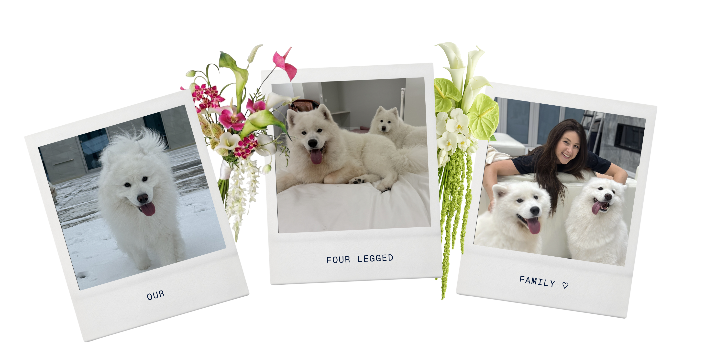 Our &middot; Four Legged &middot; Family &hearts;